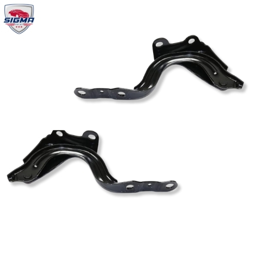 2021-2025 Hyundai Elantra Left & Right Hood Hinges Set 66910AA000 66920AA000