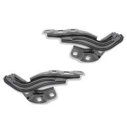 Categories Hood Hinge