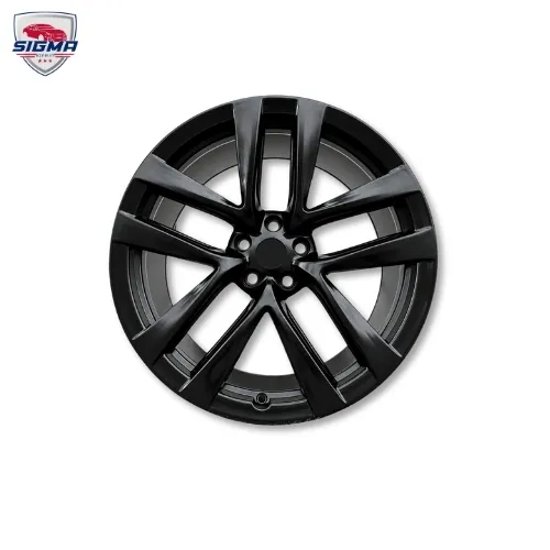 2021-2025 Tesla Model S Rim Back